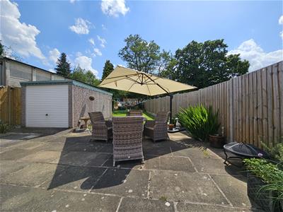 Picture 19